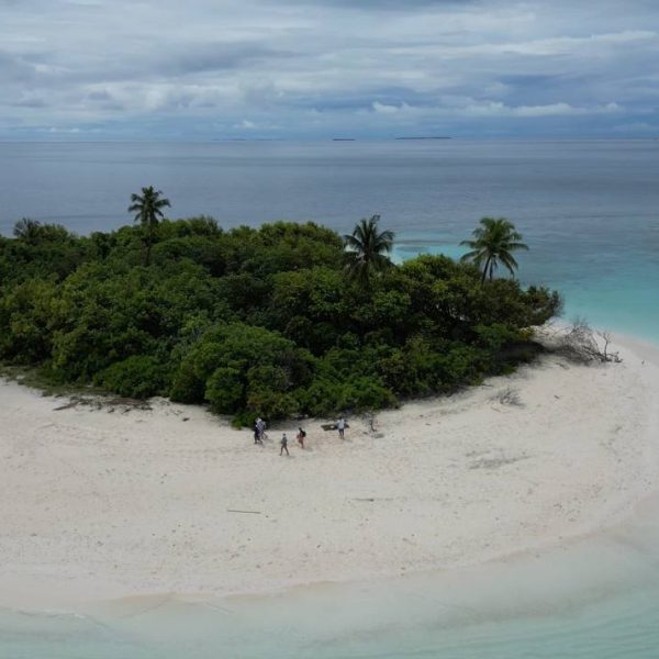 5811929322833954894 (1)