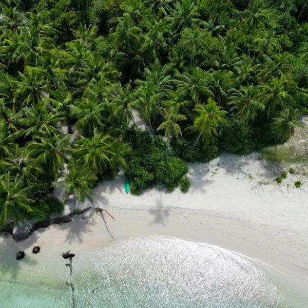 5811929322833954895 (1)