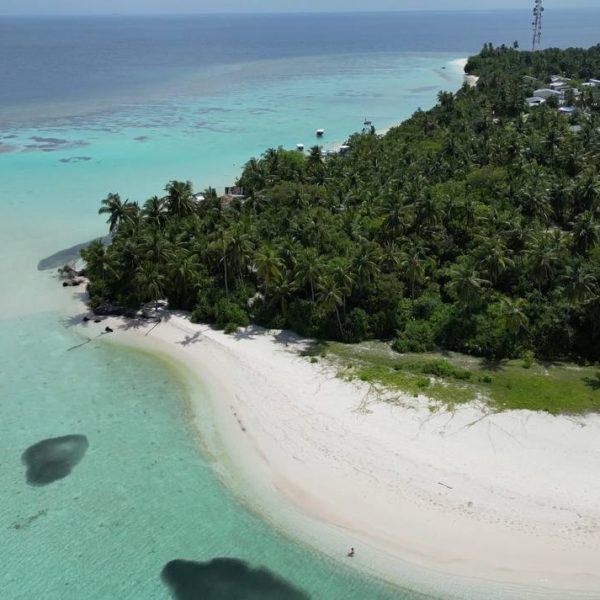 5811929322833954898 (1)