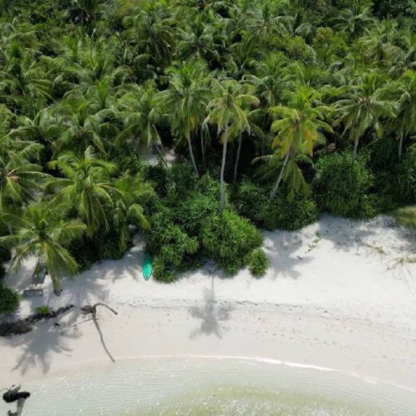 af9792a4-6920-4952-be91-3be0af38f4e9