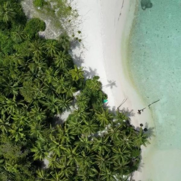 b6426dcb-c72a-40e8-812e-8e462e4aefa3