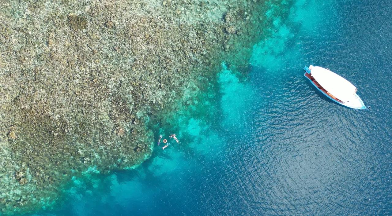 5811929322833954893 (1)