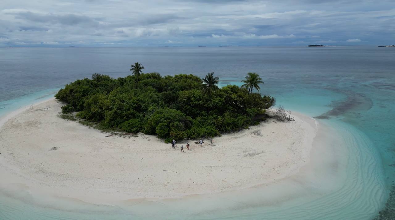 5811929322833954894 (1)