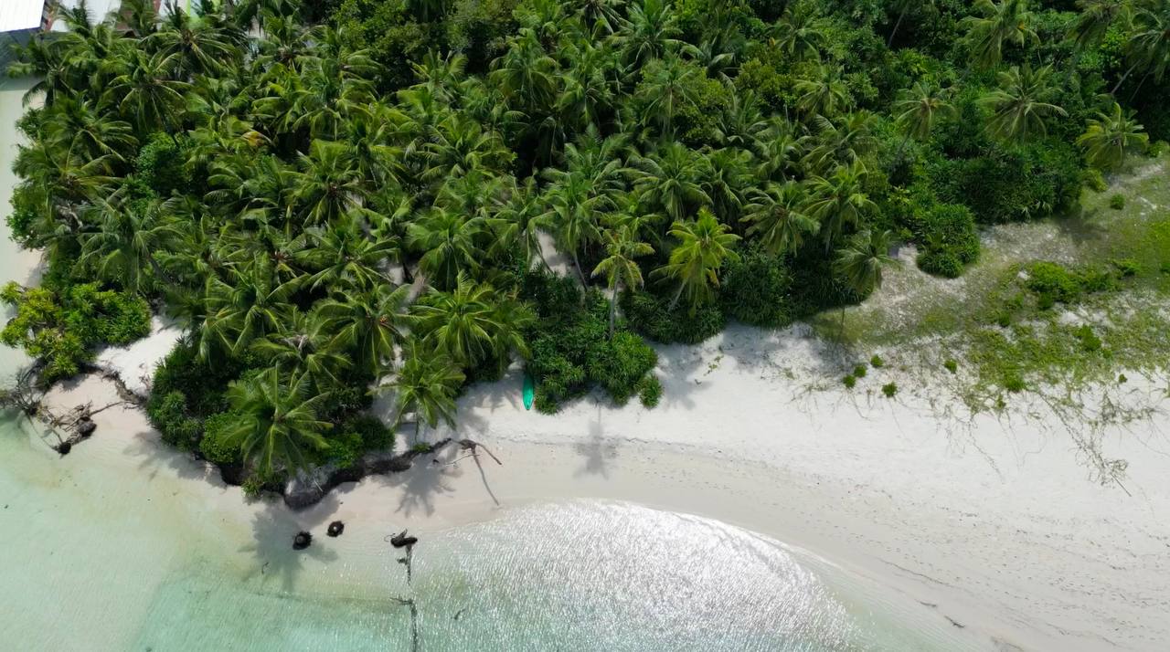 5811929322833954895 (1)