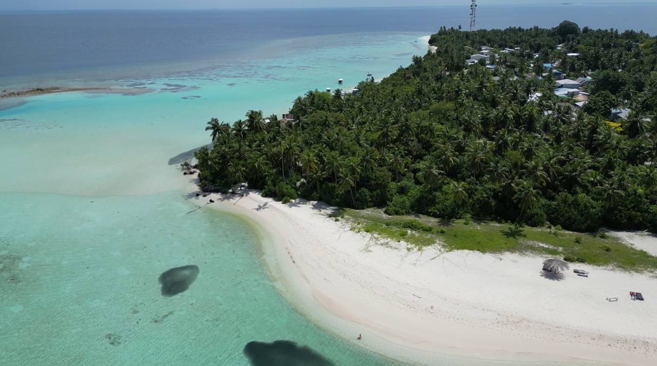 5811929322833954898 (1)