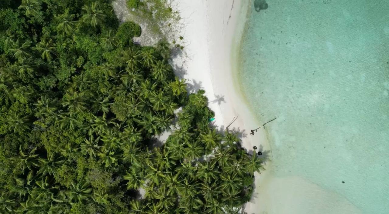 b6426dcb-c72a-40e8-812e-8e462e4aefa3